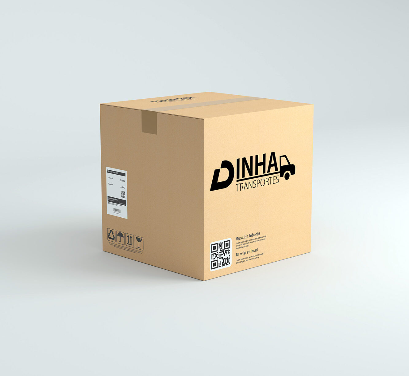 dinha-transportes (8)